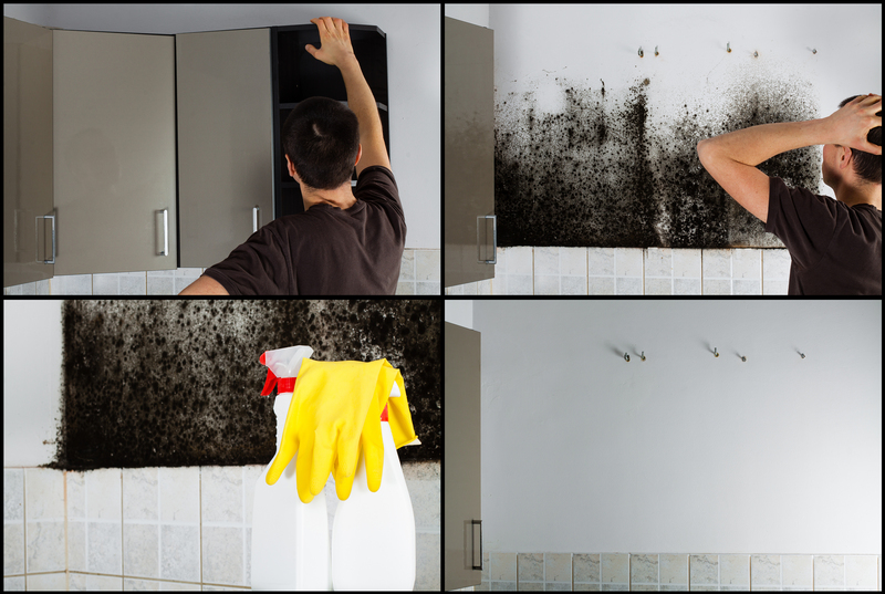 tenancy cleaning carpet cleaning