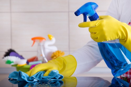 Clean and fresh living room after pet stain odour removal