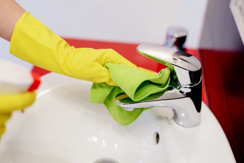 Professional carpet cleaning equipment for pet stain removal