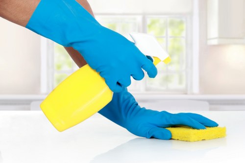 Low-carbon service van used for carpet cleaning visits