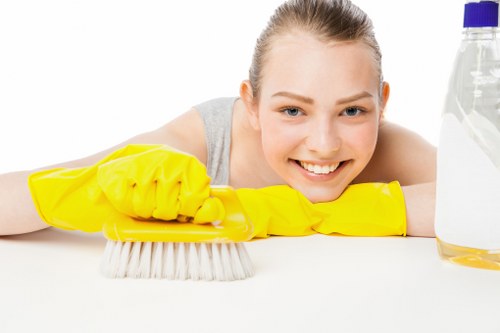 Expert carpet care by Downe carpet cleaners