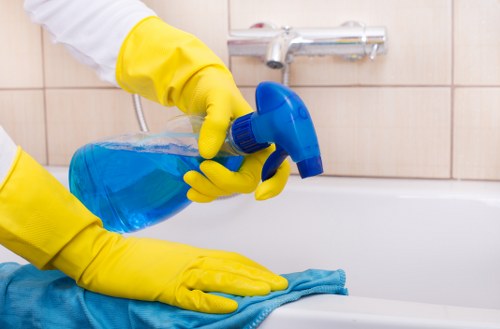 Odour treatment process for pet accidents in a Downe home
