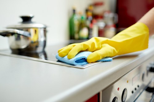 Professional carpet cleaning process in a residential interior