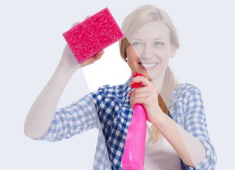 Professional cleaning equipment used on fabric furniture in Downe