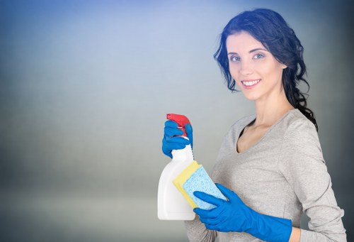 Deep cleaning and stain removal in Downe services